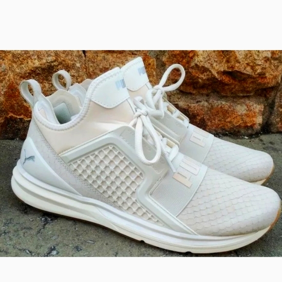 Puma Ignite Limitless Mens Beige Suede 